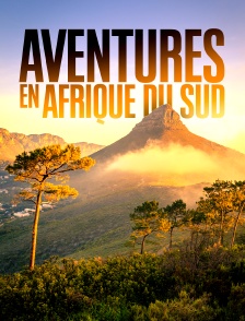 Aventures en Afrique du Sud