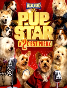Pup Star : A 2 c'est mieux