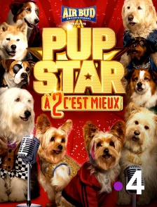 Pup Star : A 2 c'est mieux