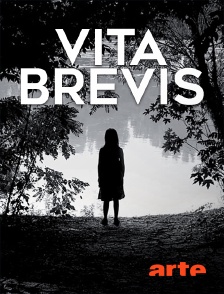 Arte - Vita Brevis