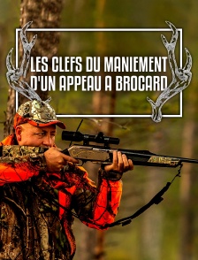 Les clefs du maniement d'un appeau à brocard