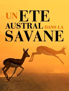 Un été austral dans la savane