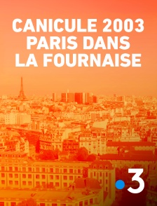 France 3 - Canicule 2003 : Paris dans la fournaise