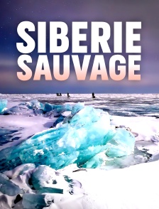 Sibérie sauvage