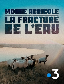 France 3 - Monde agricole : la fracture de l'eau