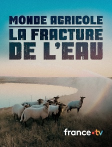 france.tv - Monde agricole : la fracture de l'eau