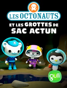 Gulli - Les Octonauts et les grottes de Sac Actun