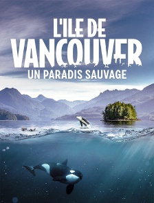 L'île de Vancouver : un paradis sauvage