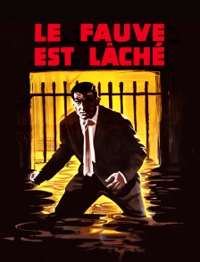 Le fauve est lâché