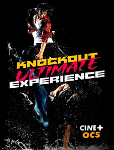 CINÉ Cinéma - Knockout ultimate experience