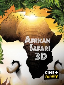 African Safari 3D