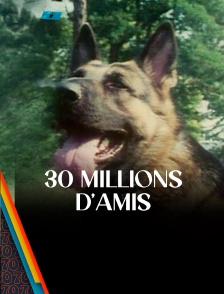 30 millions d'amis