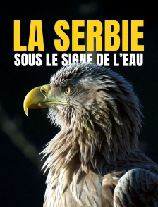La Serbie, sous le signe de l'eau