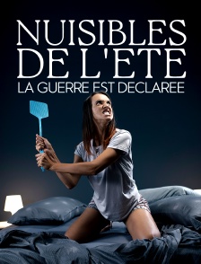 Nuisibles de l'été, la guerre est déclarée