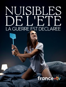 france.tv - Nuisibles de l'été, la guerre est déclarée