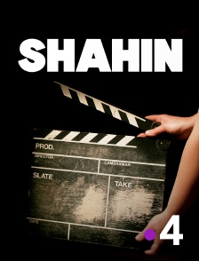 Shahin