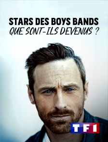 TF1 - Stars des boys bands : que sont-ils devenus ?