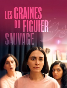 Les graines du figuier sauvage