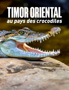 Timor oriental : Au pays des crocodiles