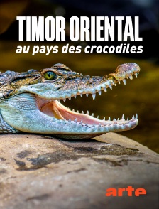 Arte - Timor oriental : Au pays des crocodiles