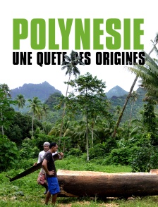 Polynésie : une quête des origines
