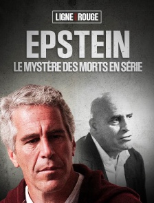 Epstein : le mystère des morts en série