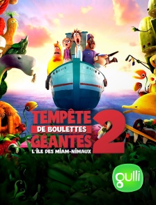 Gulli - L'île des miam-nimaux : tempête de boulettes géantes 2
