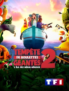 TF1 - L'île des miam-nimaux : tempête de boulettes géantes 2