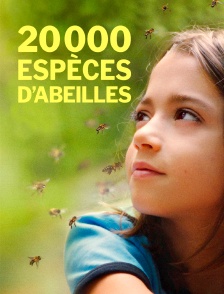 20 000 espèces d'abeilles