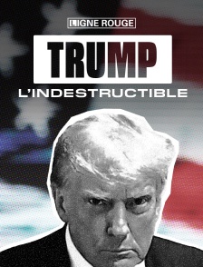 Trump, l’indestructible