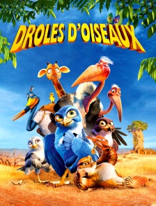 Drôle d'oiseau