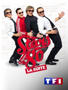 TF1 - Stars 80 : la suite