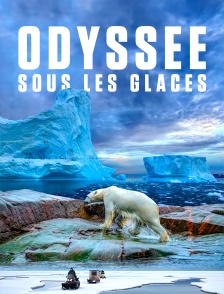 Odyssée sous les glaces