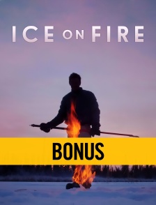 Ice on Fire : bonus
