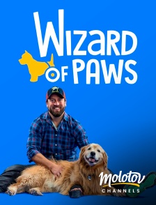 Molotov Channels - Wizard of Paws
