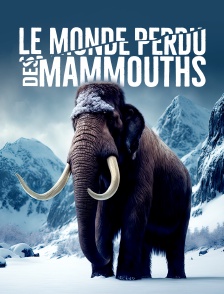 Le monde perdu des mammouths