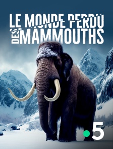 Le monde perdu des mammouths