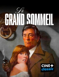 Le grand sommeil