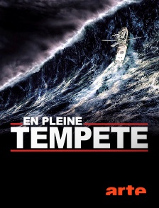 Arte - En pleine tempête