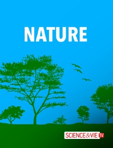 Science et Vie TV - Face aux forces de la Nature