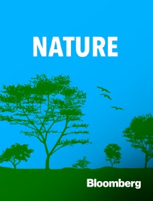 Bloomberg UK-Europe - An Optimist's Guide to the Planet