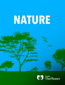 Love the Planet - Nature = Futur ! 10