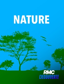 RMC Découverte - Volcanoes : Dual Destruction