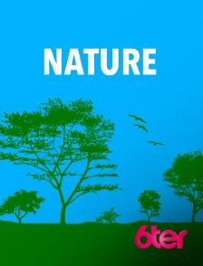 6ter - Les globe-pêcheurs en Norvège