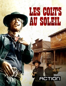 Action - Les colts au soleil