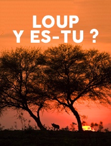 Loup, y es-tu ?