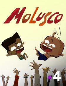 France 4 - Molusco