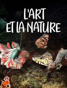 L'art et la nature : Peintres néerlandaises du XVIIe siècle