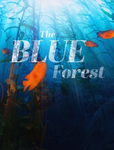 The Blue Forest