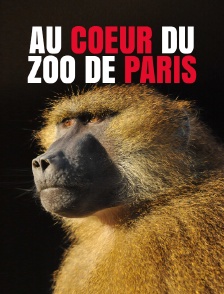 Au coeur du zoo de Paris